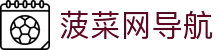 菠菜网导航 - 行业领先的精准入口指引与安全访问防护中心